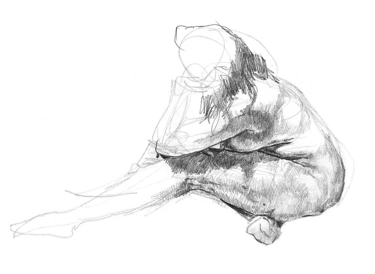 Seated female model with left leg extended